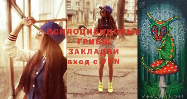 ешки Богородицк