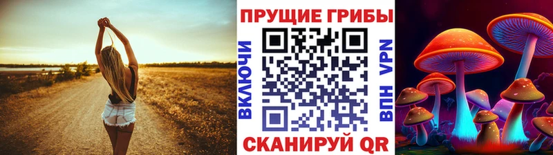 Галлюциногенные грибы Cubensis цены наркотик Кирово-Чепецк