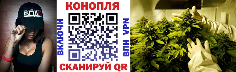 Каннабис конопля Кирово-Чепецк